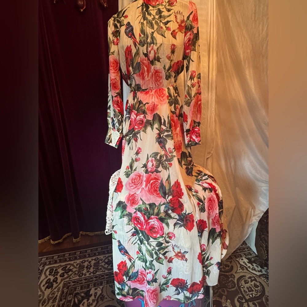 Rosebud and Sapsucker Maxi Dress with Silver Thread Detail, Small - Picture 5 of 9